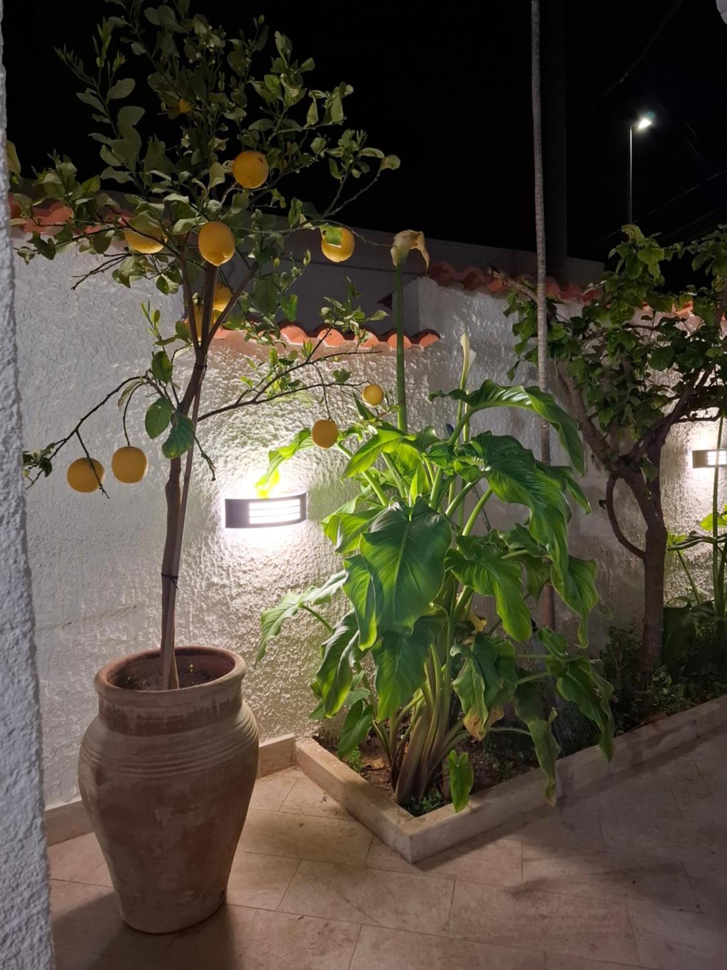 Вилла Toluammare Sicily Санта-Мария-дель-Фокалло Экстерьер фото