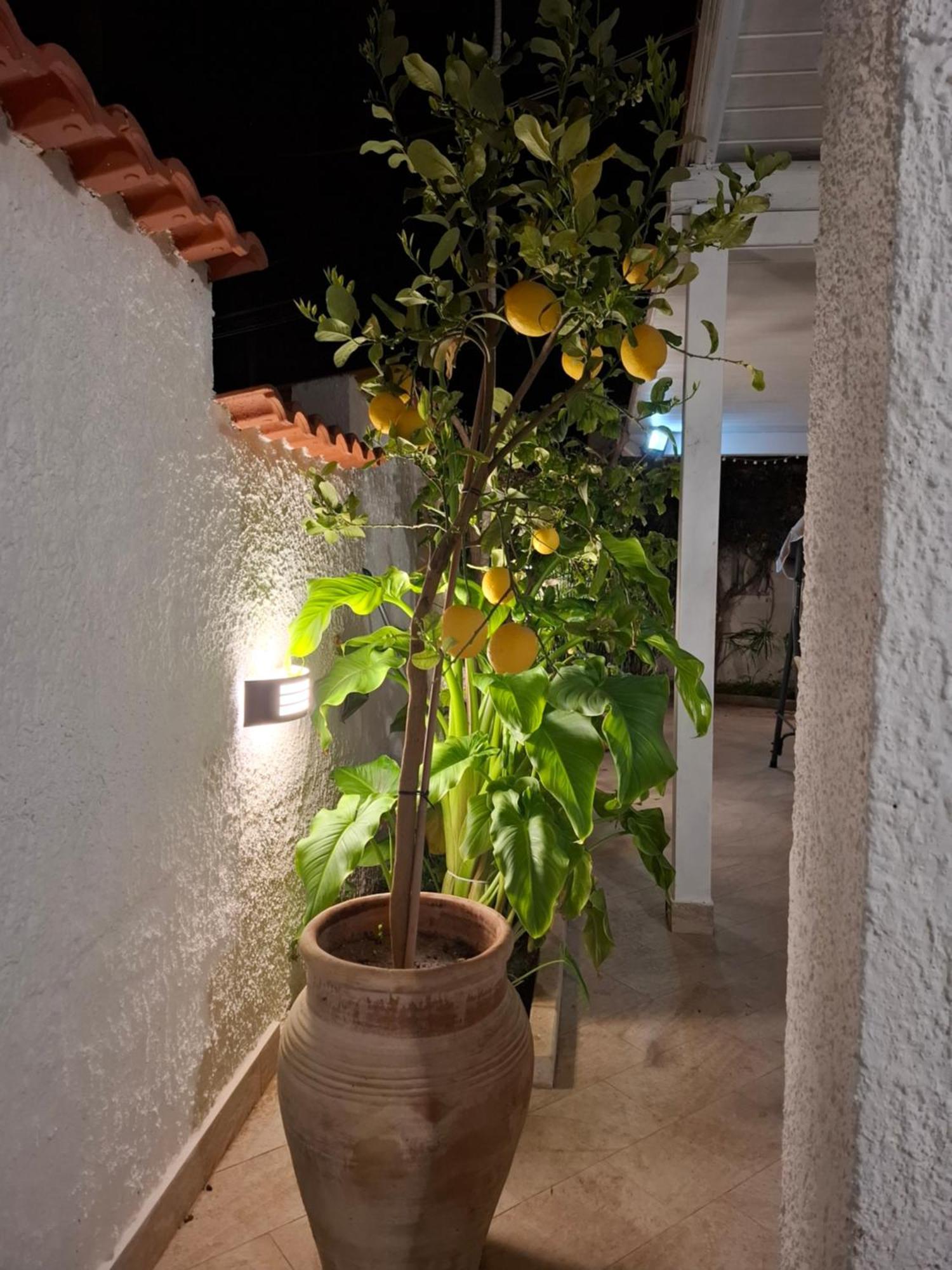 Вилла Toluammare Sicily Санта-Мария-дель-Фокалло Экстерьер фото